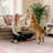 Atascadero Floral Pink Ribbon Bow Machine Washable Pink / Beige Indoor Area Rug with Non-Slip Backing-274034081