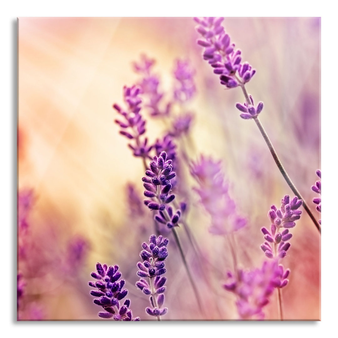 Glasbild Elegant Lavendel