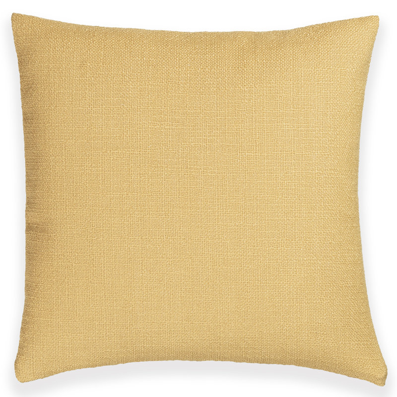 Coussin Birch Lane Coolidge, Plumes, Jaune, Carré 20 po