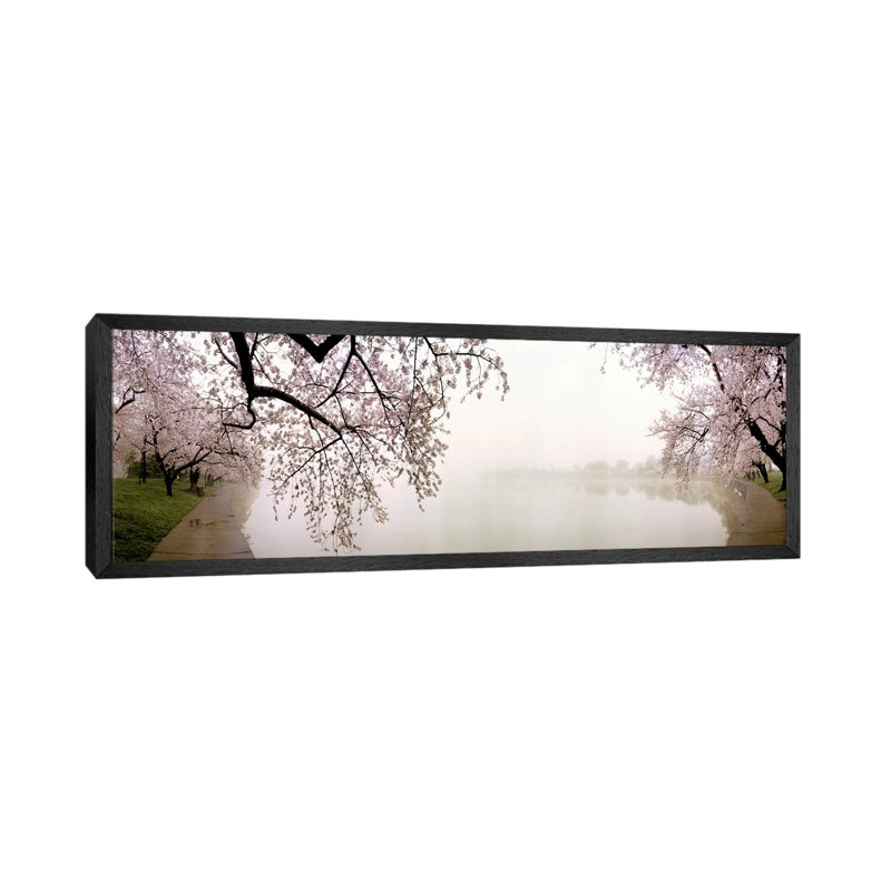 Cherry Blossoms At The LakesideWashington DC, USA by Panoramic Images - Floater Frame Panoramic Gallery-Wrapped Canvas Giclée on Canvas