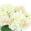 Hydrangea and Viburnum Arrangement in Ridged Vase