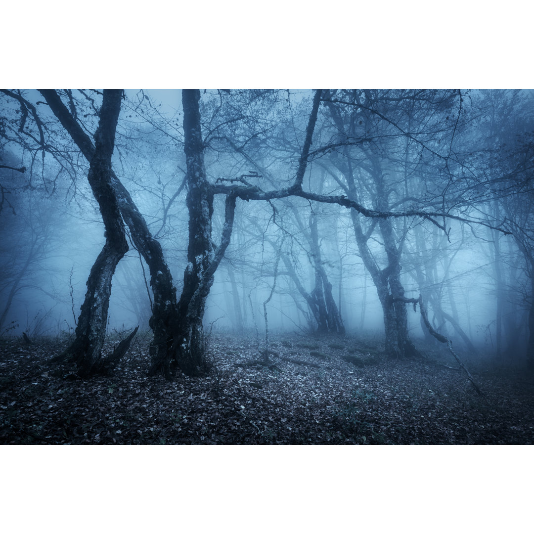 Wald im blauen Nebel - Kunstdrucke auf Leinwand