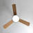 Janovia 48'' Ceiling Fan with LED Lights-1118487064