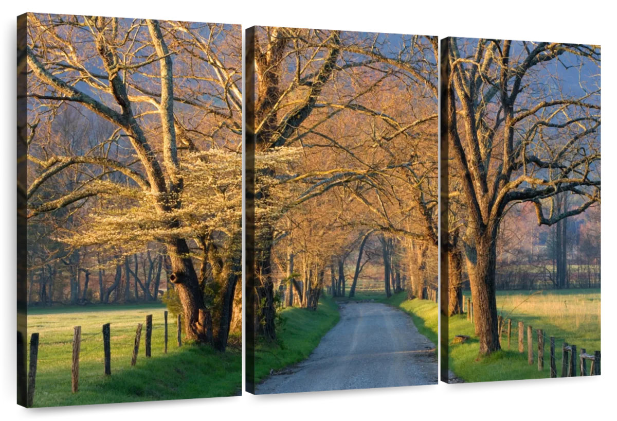 Millwood Pines Alvord Sunset Path | Wayfair