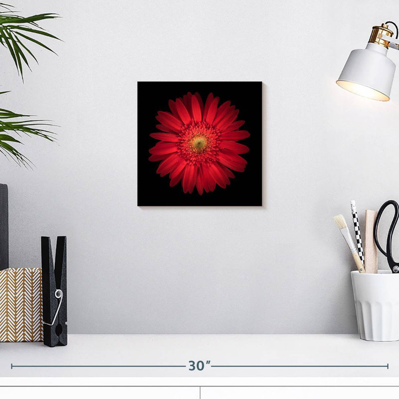 Arney Bright Red Daisy, 10" H x 10" W