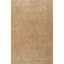 Hand Knotted Wool Area Rug in Cream