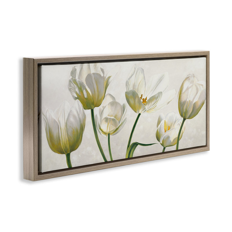 «Soft White Blooming Tulips Grain» par Eva Barberini, Cadre flottant orme Montalcino, H 11 po x l 25 po