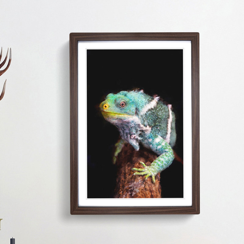 Fiji Iguana - Picture Frame Painting Print, 33cm H x 24cm W x 2cm D, Walnut Framed