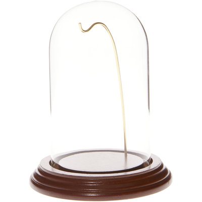 3" x 5" Watch Glass Display Dome Cloche