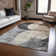 Machine Washable Indoor/Outdoor Cicel ACN1140 Pewter Rug