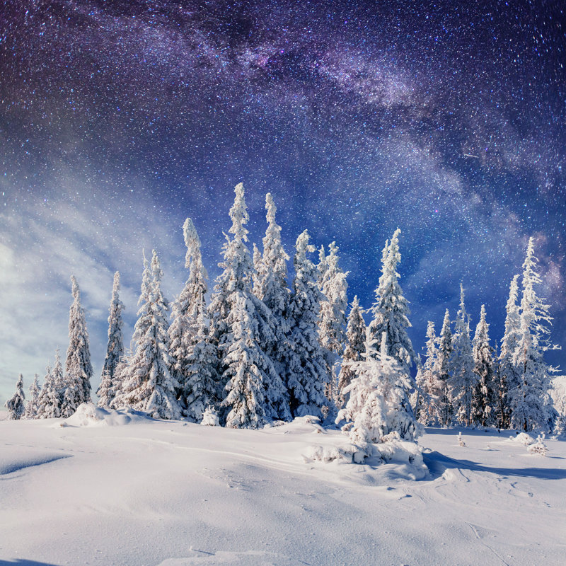 «Avent Car Pathians, UK» par - Photographie sur toile tendue, H 12 po x l 12 po