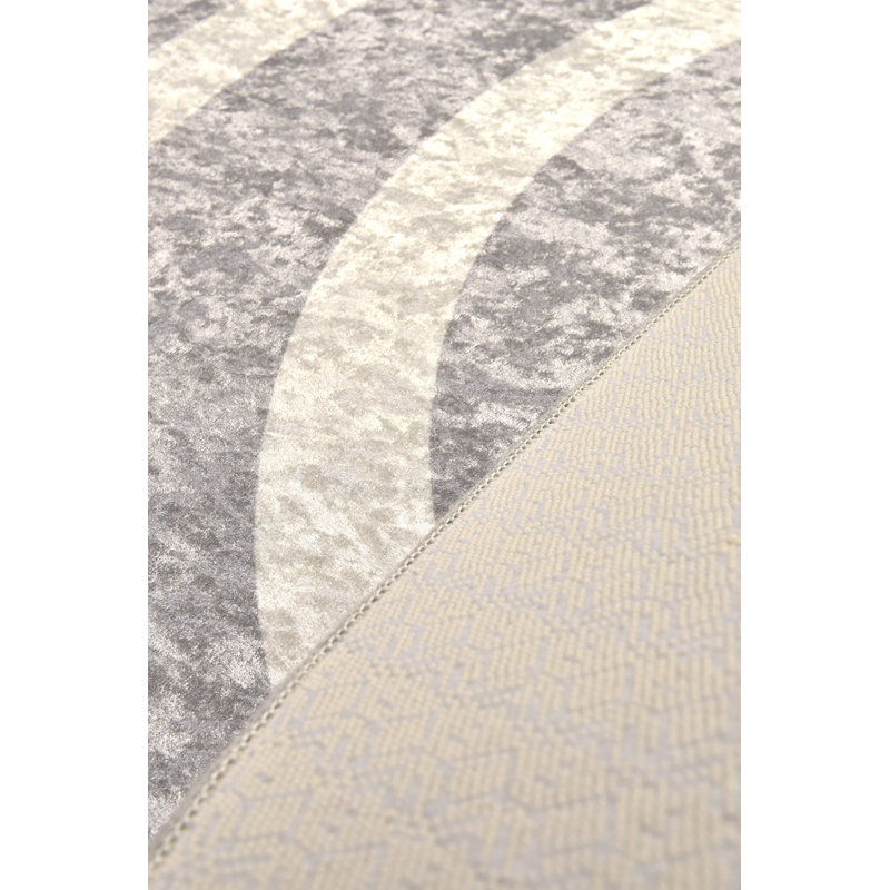 Premium Hall Carpet, 100% Polyester, 39.4 x 78.7 Inches | 4 mm Pile Height, 10 mm Total Thickness | Antibacterial, Non-Slip Underside, Machine Washable | Perfect for Entryway, Living Room & Home Décor