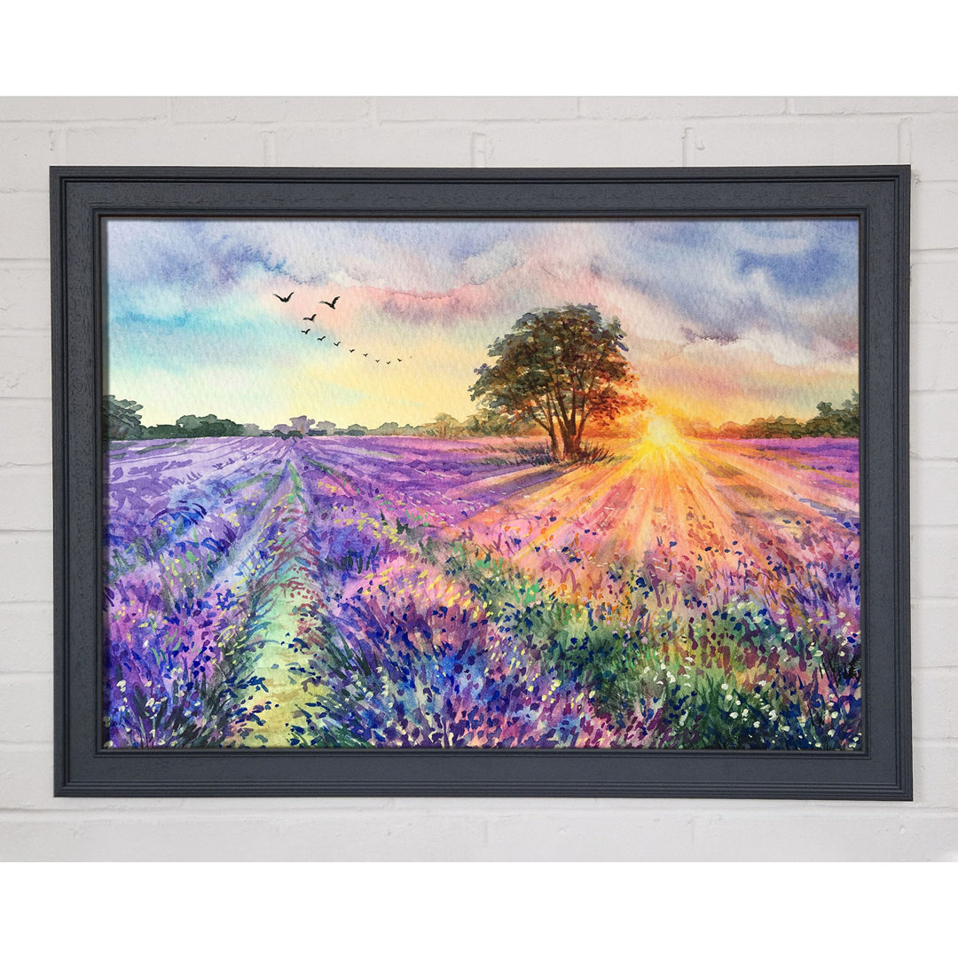 Gerahmtes Leinwandbild Lilac Fields Sunset