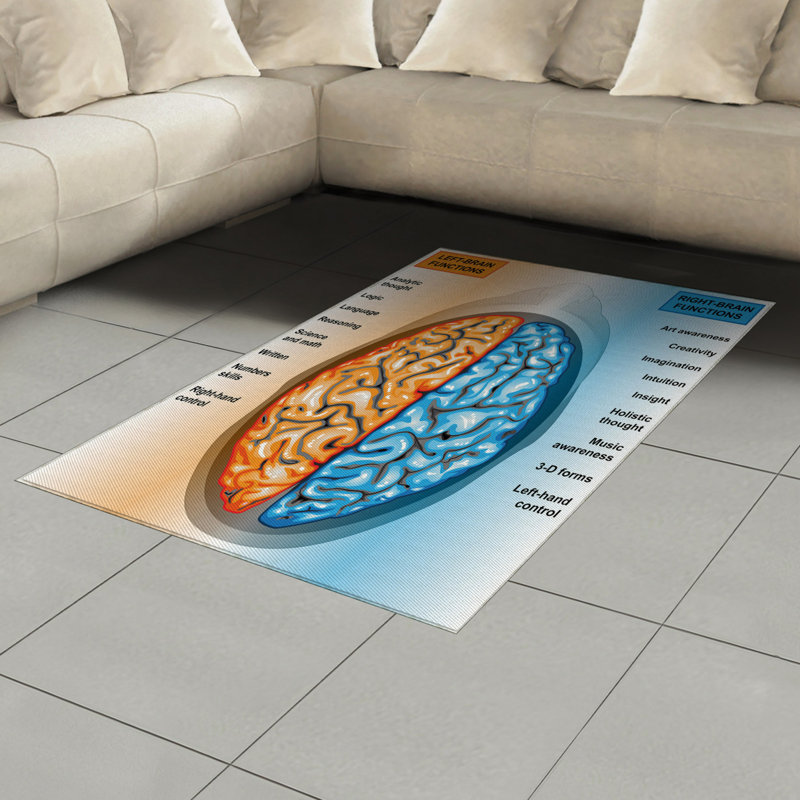 Educational Science High Density Long Fiber Poly Threads Decorative Area Rug Carpet, Rectangle 4' x 5'8"