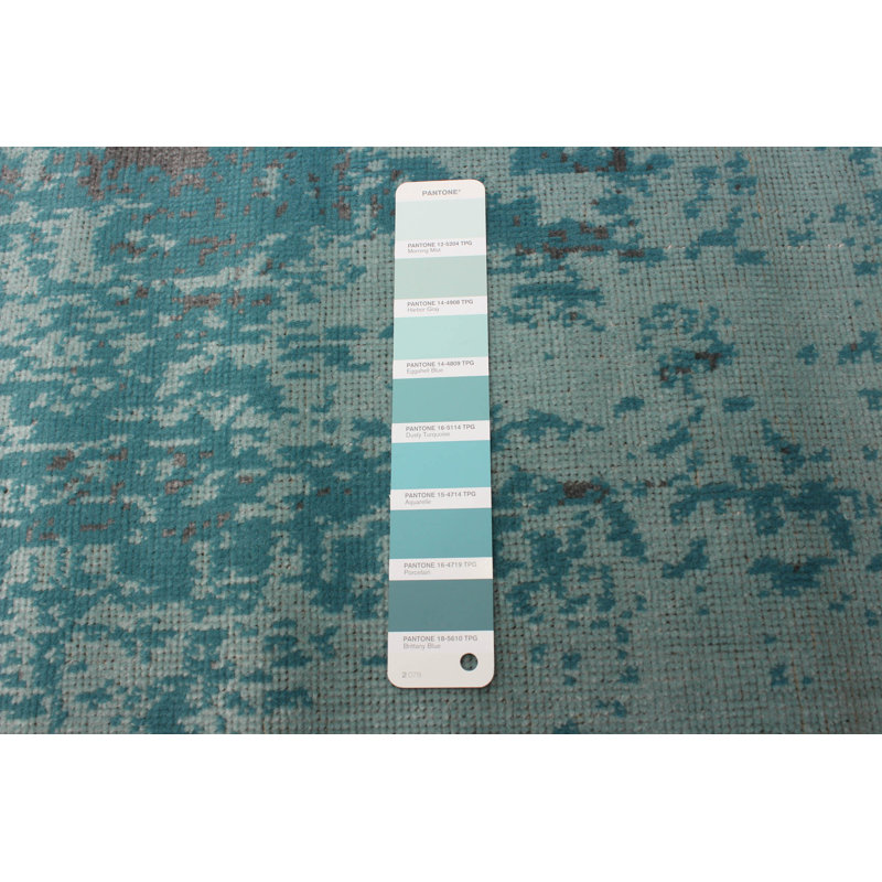Accursio Oriental Indoor Rug, Rectangle 3'11" x 5'7"