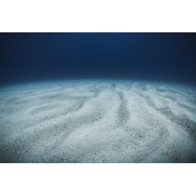 Ocean Floor - Wrapped Canvas Print
