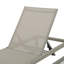 Ensemble de 2 chaises longues d'extérieur avec cadre réglable en aluminium