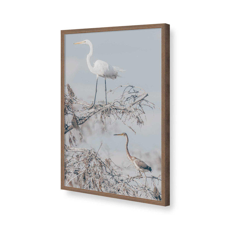 «Everglades pair» par Nathan Larson, reproduction d'art, Brun, H 48 po x l 32 po