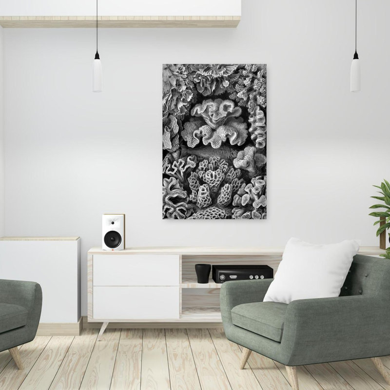 The Hidden Fish Classic Vintage Fish Wall Art, 36" H x 24" W