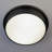 Roderick Glass Flush Mount-7125472