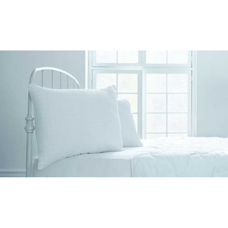 Campeon Anti-Stress Pillow, Standard