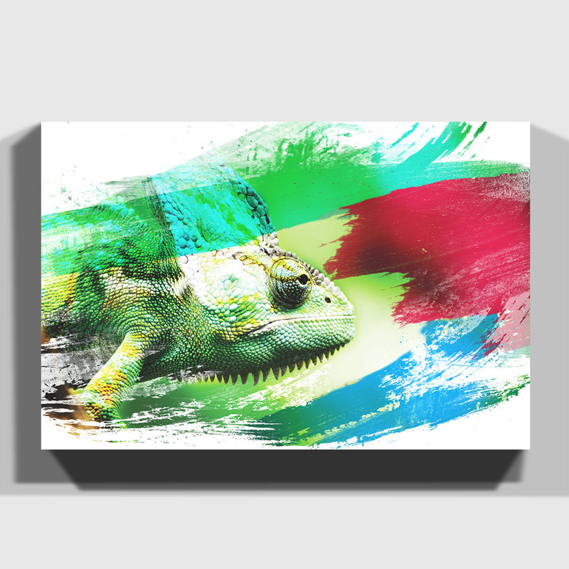 Chameleon Lizard - Wrapped Canvas, 50cm H x 76cm W