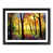 Black Framed selected