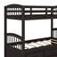 Lit superposé simple en bois avec lit gigogne et tiroirs-968306396