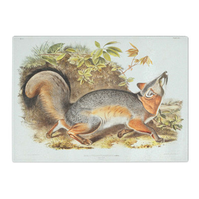Tempered Glass Grey Fox by J.W. Audubon Chopping Board