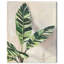 Jolies plantes I - Impression sur toile-77343993-77344000