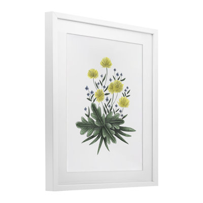 «Dandelion Flower Illustration», reproduction encadrée sous verre, conception de Cecilia Battaini