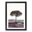 Tree in Tuscany Italy - Picture Frame Painting Print-56855734-56855735