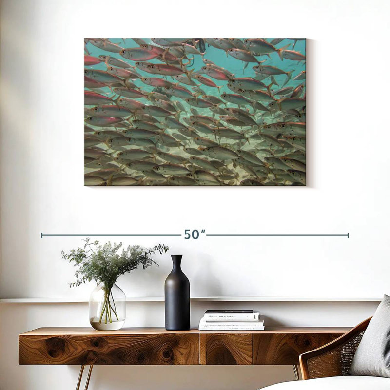 Crowle sous les poissons tropicaux, H 24 po x l 36 po