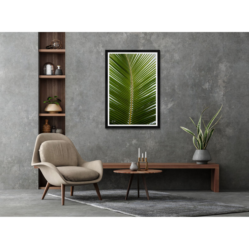 Palmier tropical, Noir, H 42 po x l 29 po x P 1,5 po, Lustre photo encadré