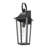 Barling 1 Light Outdoor Wall Light in Black-100157167