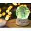 Christmas Snow Globe
