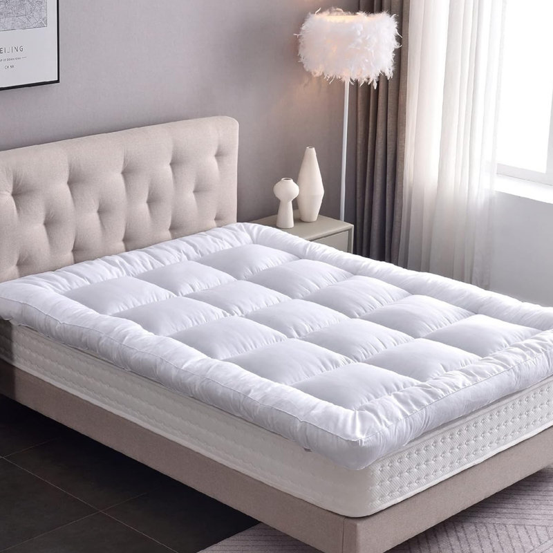 Fitted Mattress Protector Case Pack, Double (4'6)