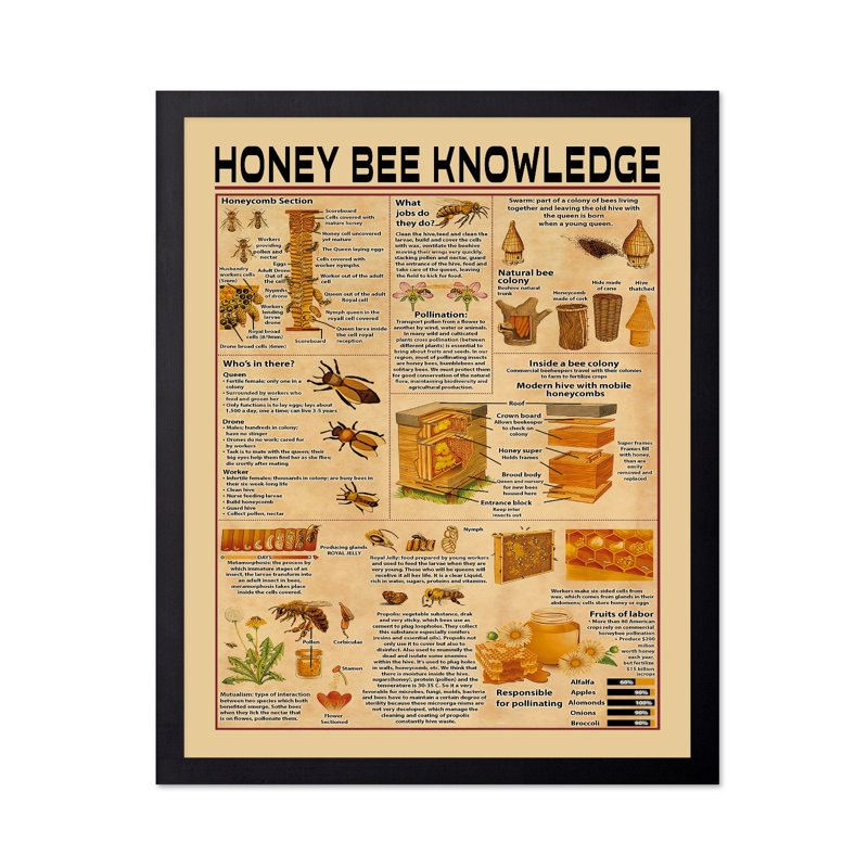 Connaissance de l'abeille, Unframed, Poster, 11"H x 14"W