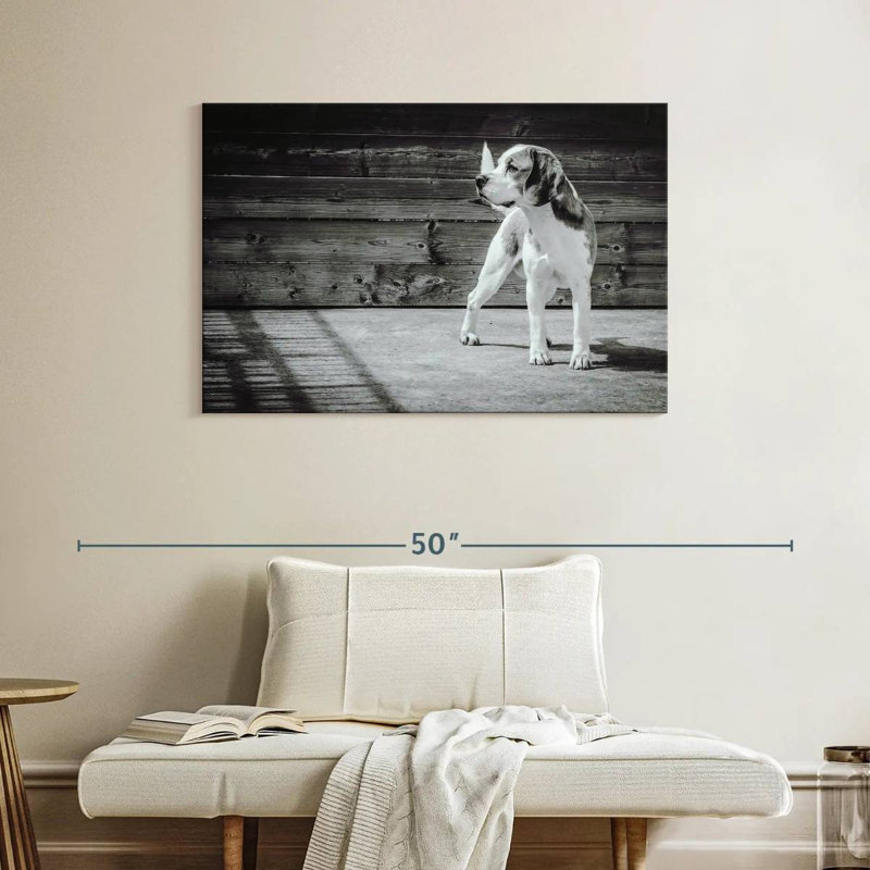 Beagle Brampt monochrome, H 26 po x l 39 po