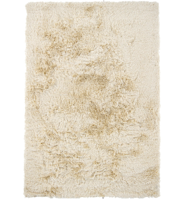 Petrina Performance Indoor Rug
