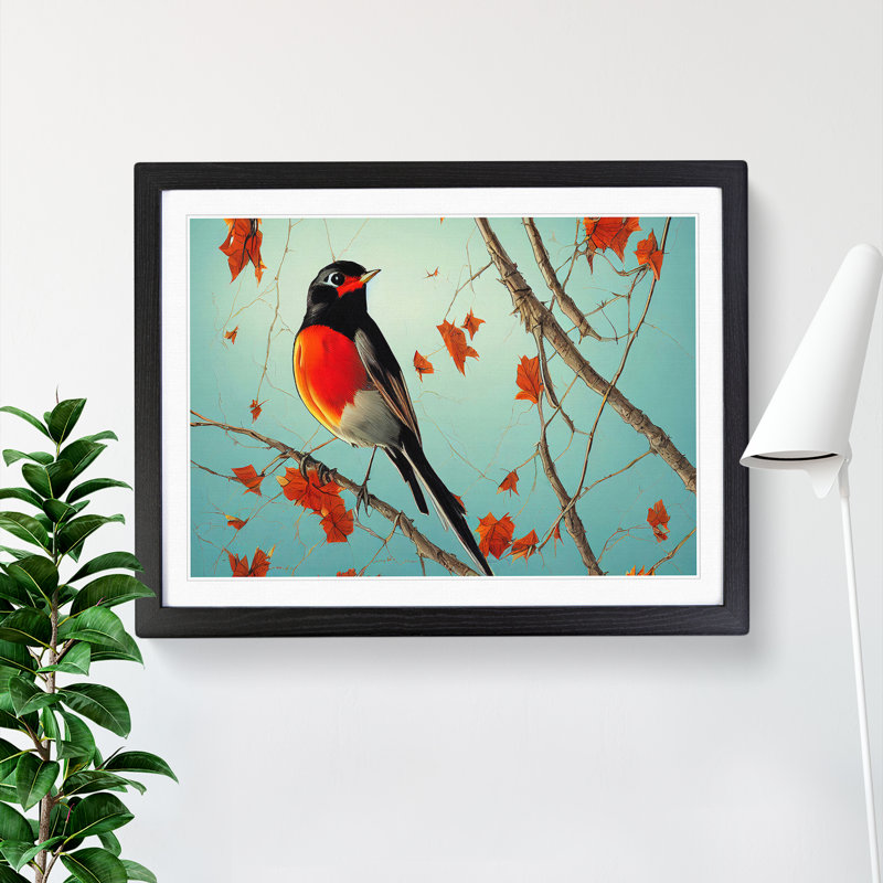 Eye Opening Robin Bird - Single Picture Frame Print, Black Framed, 46cm H x 64cm W x 2cm D