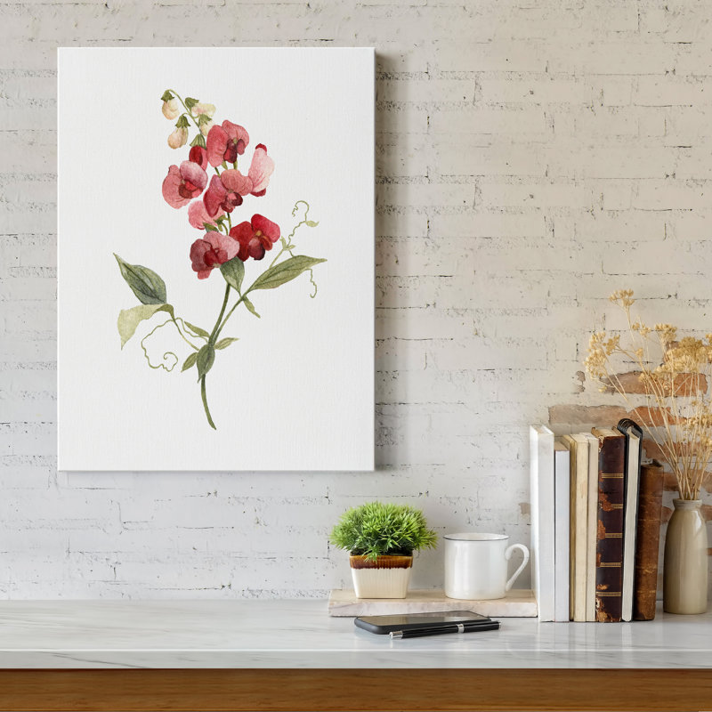 Scarlet Sweet Pea - impression sur toile tendue, H 20 po x l 16 po