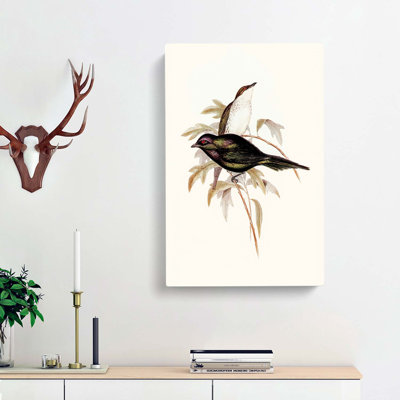 Shining Starling by Elizabeth Gould - Wrapped Canvas