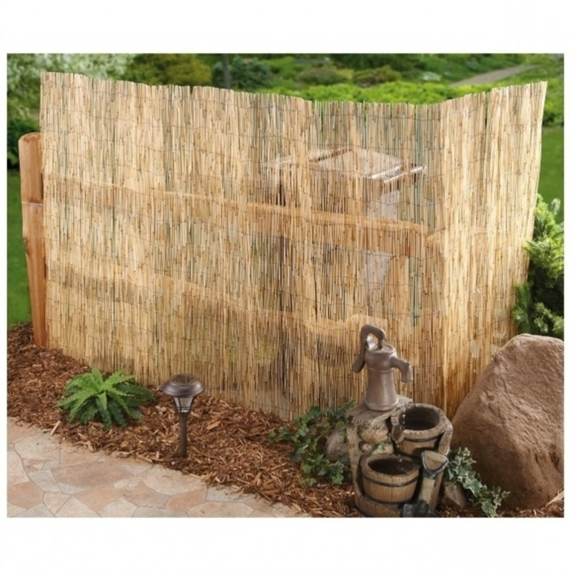 Clôture en bambou brun clair H 96 po x l 168 po