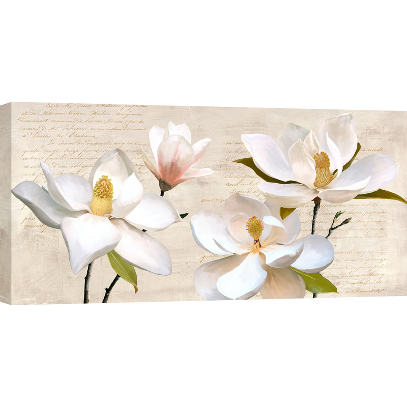 Shabby Elegance Style: Ivory Magnolia by Luca Villa - Wrapped Canvas Painting, 50cm H x 100cm W x 4cm D
