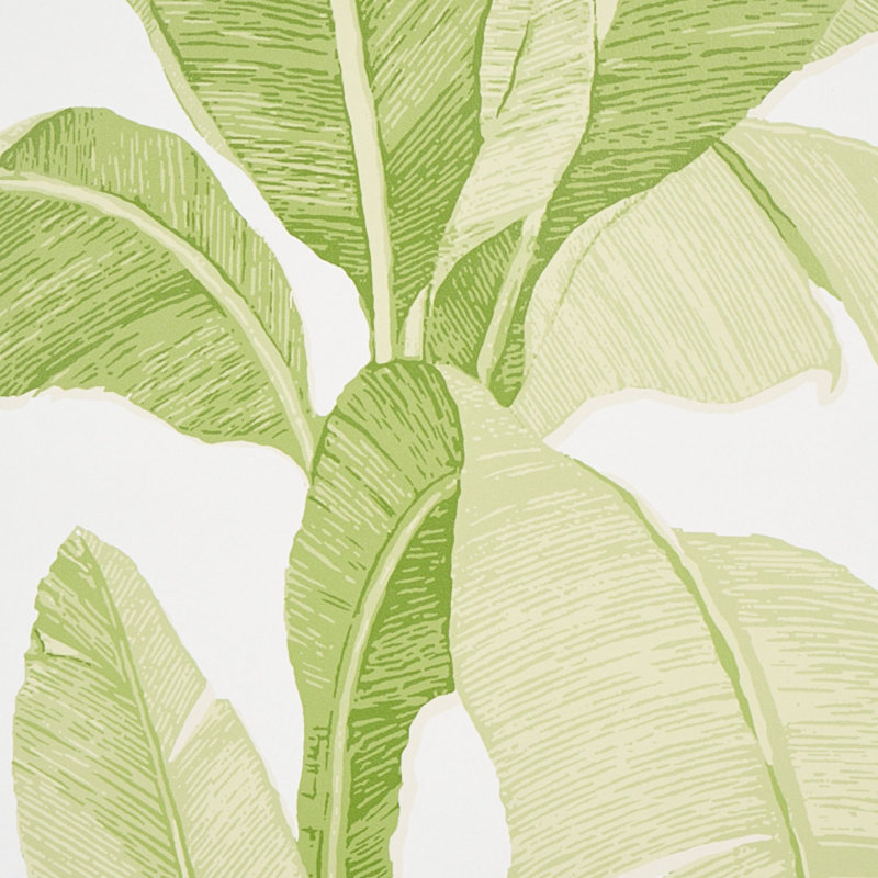 Erisimo Wallpaper, Leaf