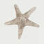 Sea Shell 9 Print-1942752469-1899420658