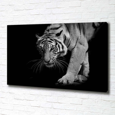 Tiger - Wrapped Canvas Print