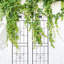 Treillis de jardin en métal antirouille pour plantes grimpantes