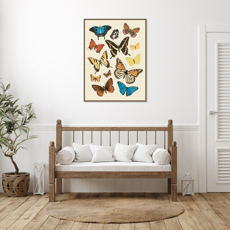 "Collection Flutter II" par Victoria Barnes, reproduction d'art sur toile encadrée, H 42 po x l 32 po